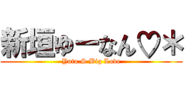 新垣ゆーなん♡＊ (Yuto.S Big Love)
