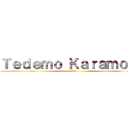 Ｔｅｄｅｍｏ Ｋａｒａｍｏｔｏ (進撃の巨人)