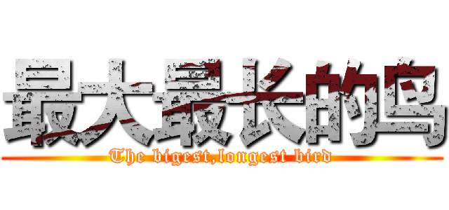 最大最长的鸟 (The bigest,longest bird)