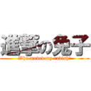 進撃の兔子 (Who moved my radish?)