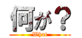 何が？ (What)