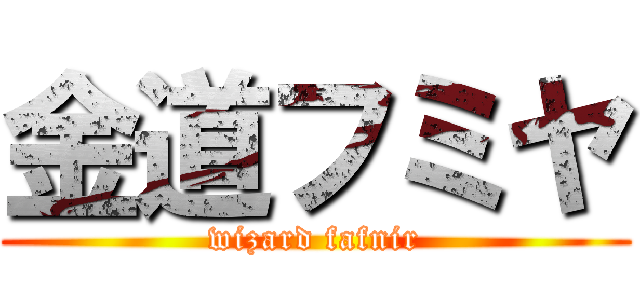 金道フミヤ (wizard fafnir)