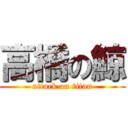 高橋の鯨 (attack on titan)