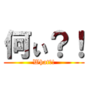 何ぃ？！ (What?!)