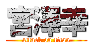 宮澤幸 (attack on titan)