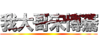 我大哥宋博騫 ()