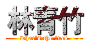 林青竹 (what's the fuck)