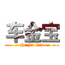 车金宝 (che jin bao)