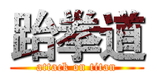 跆拳道 (attack on titan)