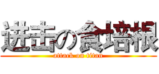 进击の食培根 (attack on titan)