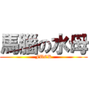 馬腦の水母 (FUCK)