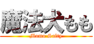 魔法犬もも (Momo Salty)