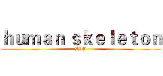 ｈｕｍａｎ ｓｋｅｌｅｔｏｎ (BHY)