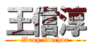 王信淳 (Wang Xinchun)