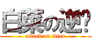 白菜の逆袭 (attack on titan)