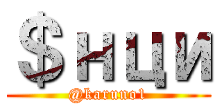 ＄нци (@karuno1)