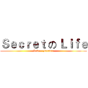 Ｓｅｃｒｅｔ の Ｌｉｆｅ (Love    Forever)