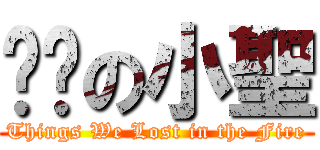 测试の小聖 (Things We Lost in the Fire)