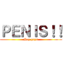 ＰＥＮＩＳ！！ (Hey guys)