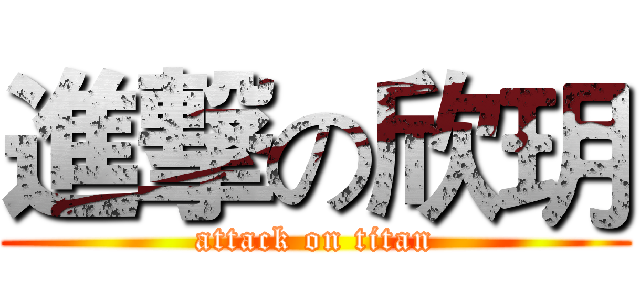 進撃の欣玥 (attack on titan)