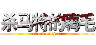 杀马特的嗨毛 (attack on titan)