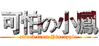 可怕の小鳳 (attack from Pineapple)
