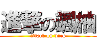 進撃の颯柚 (attack on dark)
