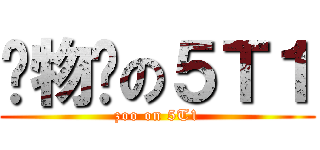 动物园の５Ｔ１ (zoo on 5T1)