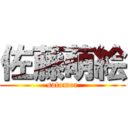 佐藤萌絵 (satomoe)