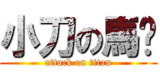 小刀の馬騜 (attack on titan)
