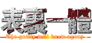 表裏一體 (The guilty will know agony)