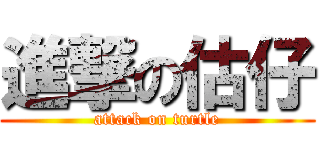 進撃の估仔 (attack on turtle)