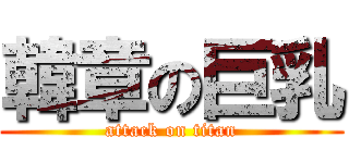 韓章の巨乳 (attack on titan)