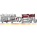 韓章の巨乳 (attack on titan)