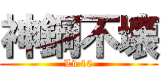 神鋼不壊 (Lv 10)