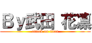 Ｂｙ武田 花凛 (attack on titan)