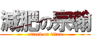 減肥の宗翰 (attack on titan)