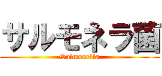 サルモネラ菌 (Salmonella)