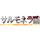 サルモネラ菌 (Salmonella)