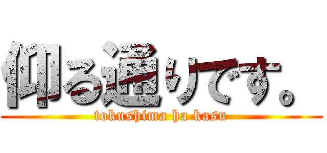 仰る通りです。 (tokushima ha kasu)