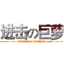 进击の巨萝 (attack on huihui)