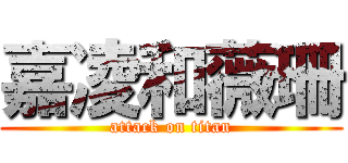 嘉凌和薇珊 (attack on titan)