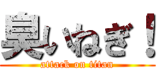 臭いねぎ！ (attack on titan)