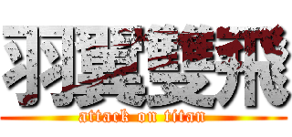 羽翼雙飛 (attack on titan)