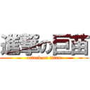 進撃の巨苗 (attack on titan)