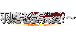 羽庭老婆我愛你～ (attack on titan)