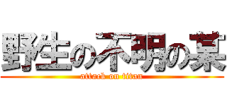 野生の不明の某 (attack on titan)