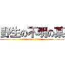 野生の不明の某 (attack on titan)