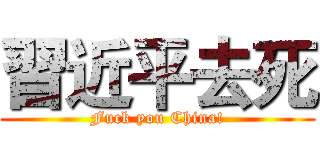 習近平去死 (Fuck you China!)