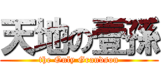 天地の壹孫 (the Only Grandson)